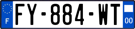 FY-884-WT