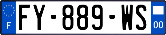 FY-889-WS
