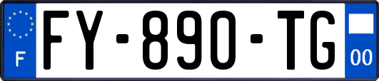 FY-890-TG