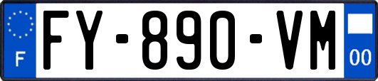 FY-890-VM