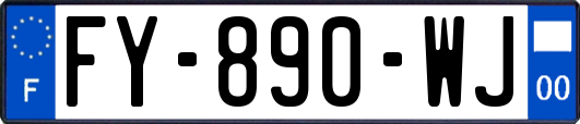 FY-890-WJ