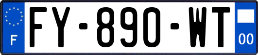 FY-890-WT