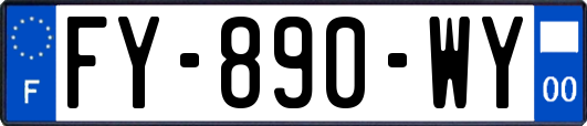 FY-890-WY