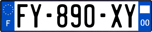 FY-890-XY