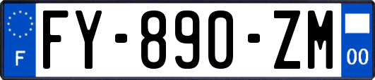 FY-890-ZM