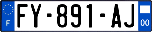 FY-891-AJ