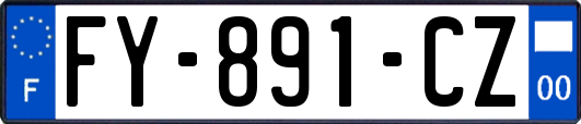 FY-891-CZ