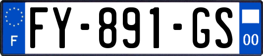 FY-891-GS