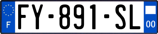 FY-891-SL