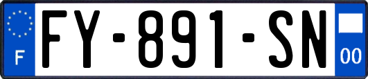 FY-891-SN