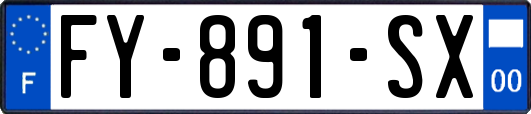 FY-891-SX