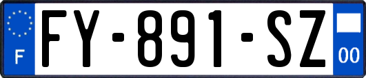 FY-891-SZ