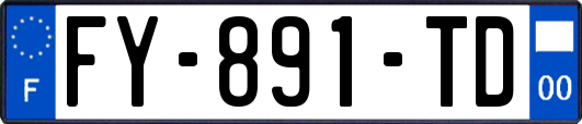 FY-891-TD