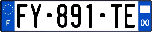 FY-891-TE