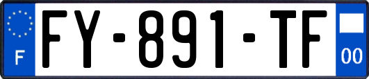 FY-891-TF