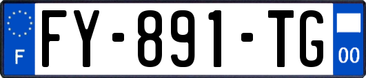 FY-891-TG