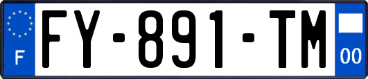 FY-891-TM