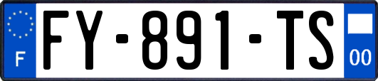 FY-891-TS