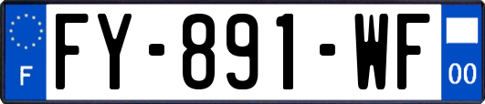 FY-891-WF