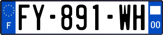 FY-891-WH