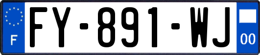 FY-891-WJ