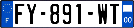 FY-891-WT