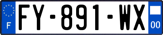 FY-891-WX