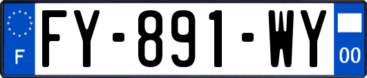 FY-891-WY