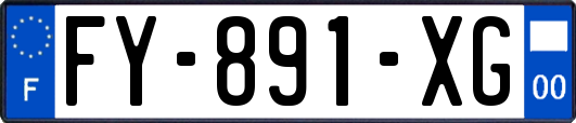 FY-891-XG