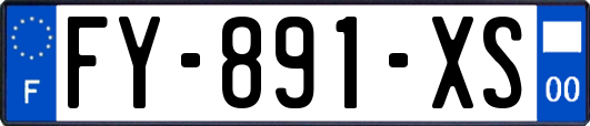 FY-891-XS