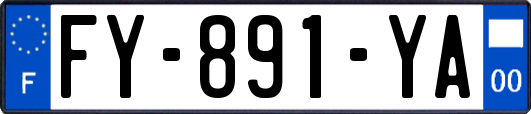 FY-891-YA