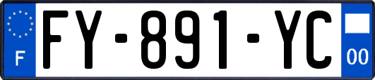 FY-891-YC