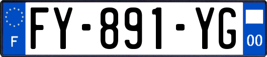 FY-891-YG
