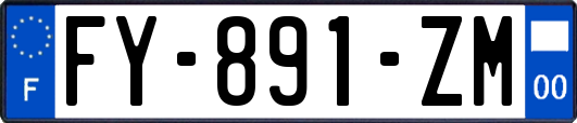 FY-891-ZM