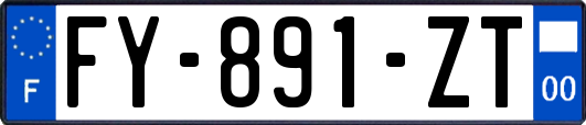 FY-891-ZT