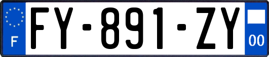 FY-891-ZY