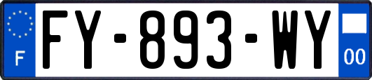 FY-893-WY