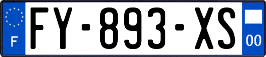 FY-893-XS