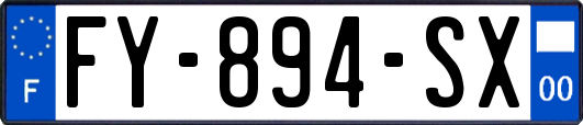 FY-894-SX