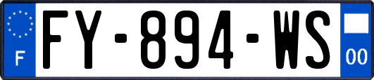 FY-894-WS