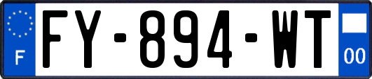 FY-894-WT