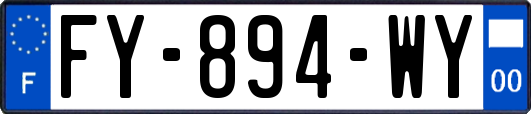 FY-894-WY
