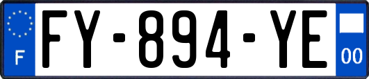 FY-894-YE