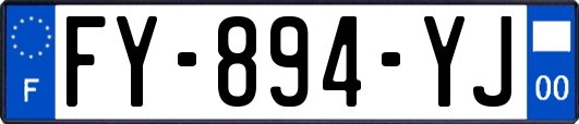 FY-894-YJ