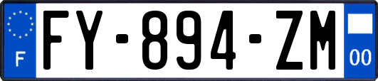 FY-894-ZM