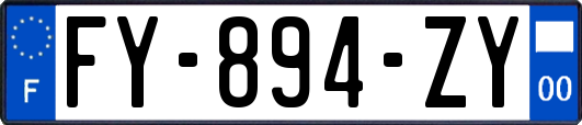 FY-894-ZY