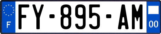 FY-895-AM