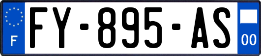 FY-895-AS