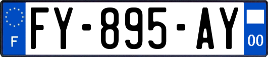 FY-895-AY
