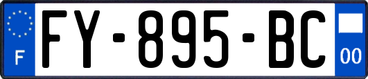 FY-895-BC